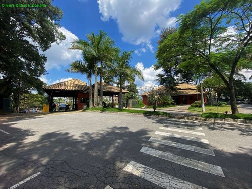 Imagem 7 de 10 de Terreno - Te00078 - 69712272