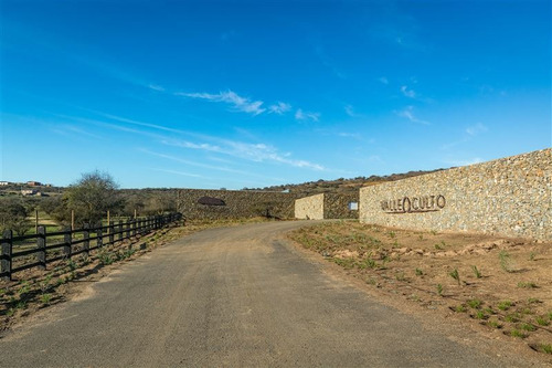 Imagen 19 de 28 de Agrícola En Venta En Zapallar