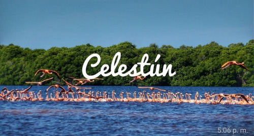 Celestun