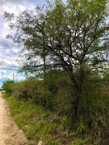 Lote De 5000 M2 Ubicado En San Javier - Traslasierra