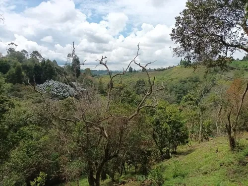 Lote En Venta En Guarne Vereda Canoas. Cod V11705