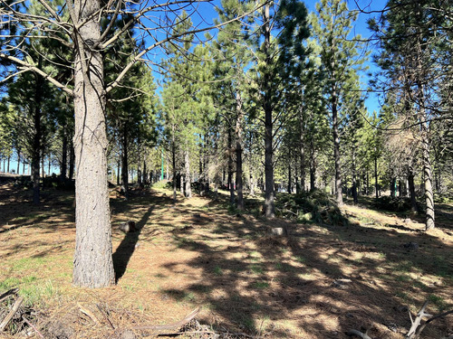 Terreno En Loteo Pine Zone