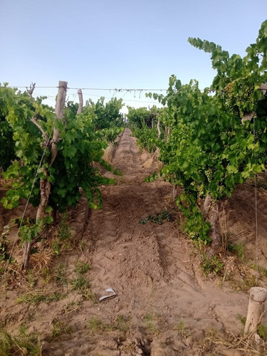 Imagen 14 de 14 de Venta De Finca Con 2 Propiedades 15 Y 6 Hectáreas