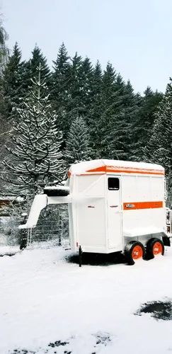 Acoplado Trailer Cerrado Full 2 Caballos Batan Piso Goma