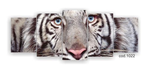 Cuadro Miradas Poliptico Deco Tigre Blanco Animales