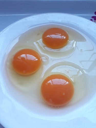 Imagen 2 de 9 de Huevos Caseros Busco Rebendedor