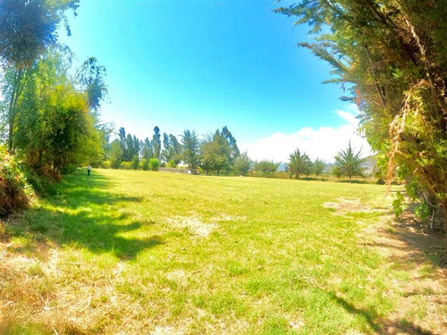 Parcela Con Casa De 5.500 M2 En Chiñigue, El Monte