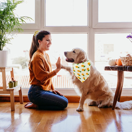 Juego De Bandana Y Coletero Para Perro, 2 Piezas De Algodón