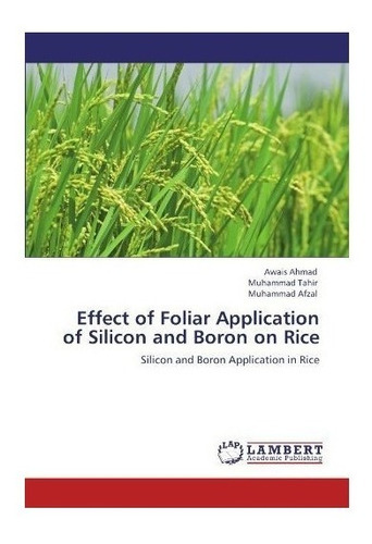 Effect Of Foliar Application Of Silicon And Boron On Rice...