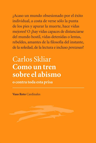 Como Un Tren Sobre El Abismo - Skliar,carlos