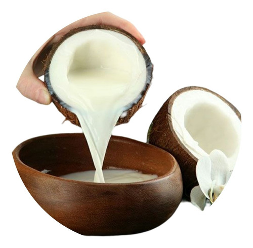 Grãos Do Kefir De Leite Vegetal (coco, Castanha, Soja)