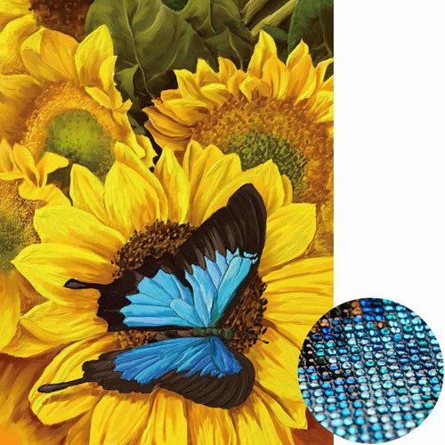 Staroar Kit Pintura 5d Para Adulto Diseño Mariposa Sobre