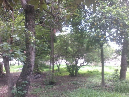 Imagen 6 de 8 de Terreno Comercial En Venta Itzamatitlan