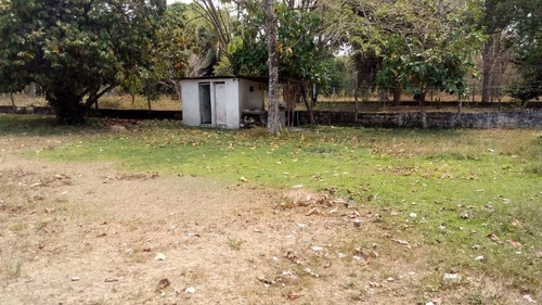 Imagen 4 de 15 de Finca En El Paguey, Barinas En Venta