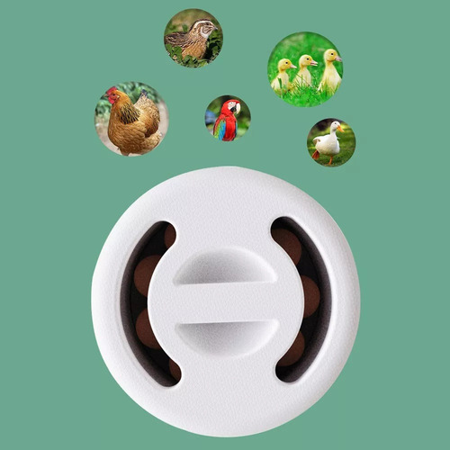 Mini Incubadora De Ovos, Ferramenta De Incubação De Aves