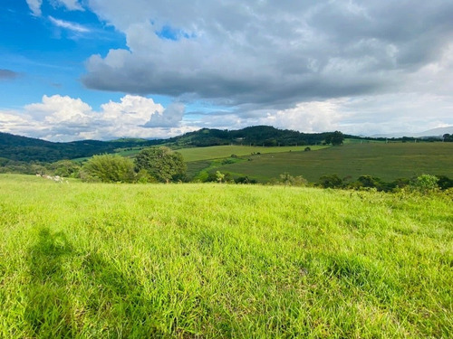 Imagem 7 de 9 de M57- Vendo Terrenos Em Atibaia