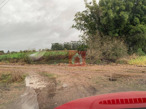 Imagem 14 de 17 de Chácara À Venda, 20000 M² Por R$ 256.000 - Industrial - Vera Cruz/rs - Ch0015