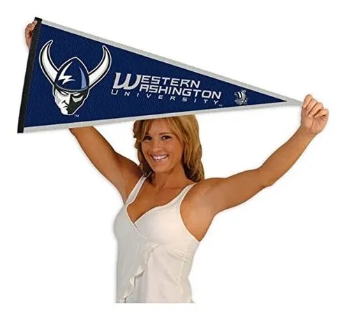 Bandera Vikingos Wwu