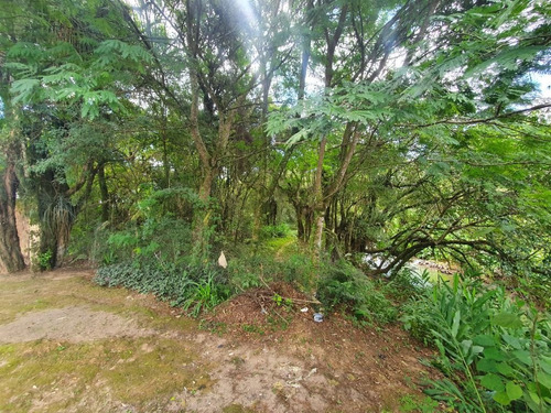 Imagem 12 de 19 de Área À Venda, 5053 M² Por R$ 1.350.000,00 - Tingui - Curitiba/pr - Ar0001
