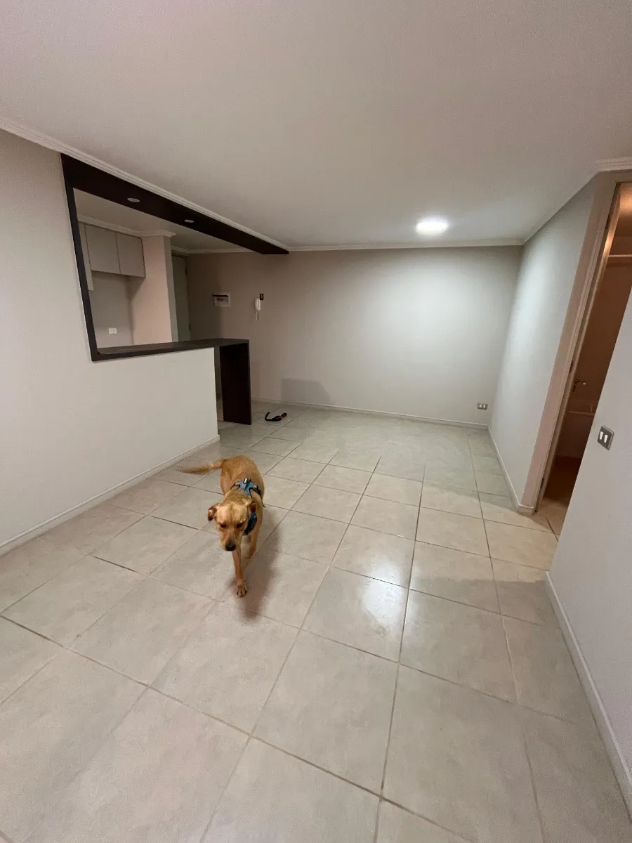 Imagen 5 de 10 de Lindo Departamento, Gastos Comunes Incluidos!!
