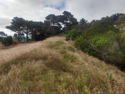 Imagen 14 de 15 de Terreno En Venta En Las Gaviotas