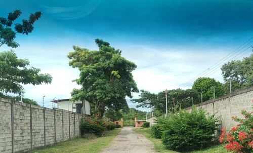 Estado Barinas Se Vende Finca Ganadera Yep11