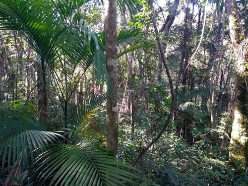 Lindo Terreno Com 23.000m²
