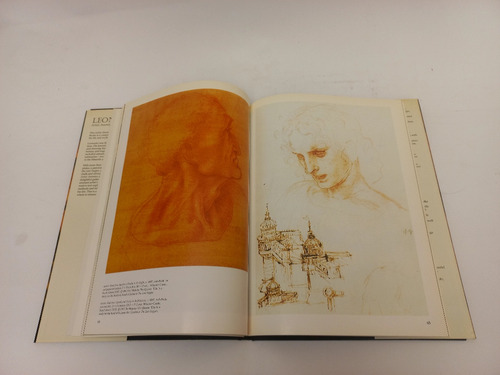 Leonardo Artist, Inventor, And Scientist - Maria Costantino (Usado)