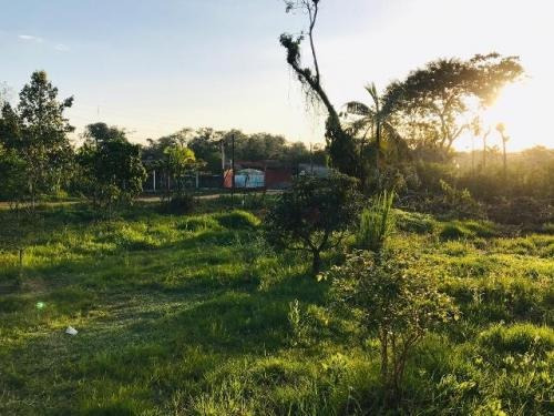 Imagem 4 de 13 de Chácara Lado Serra Em Itanhaém - 7032