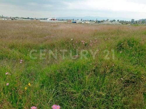 Terreno En Venta En Santiago Tlaxomulco, Toluca, Estado De México