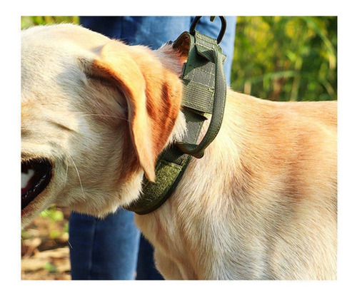 El Collar Del Perro Es Seguro, Ajustable Y Cómodo L