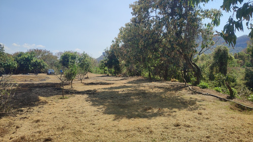 Venta De Terrenos En Tlayacapan, Morelos Todo O En Lotes