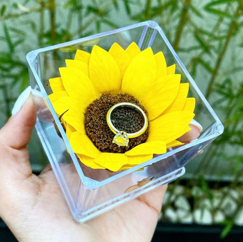 Girasol Natural Preservado Eterno Mini Regalo | Meses sin intereses