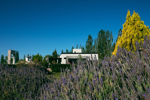 Imagen 12 de 14 de Cabañas En Valle Grande San Rafael Mendoza