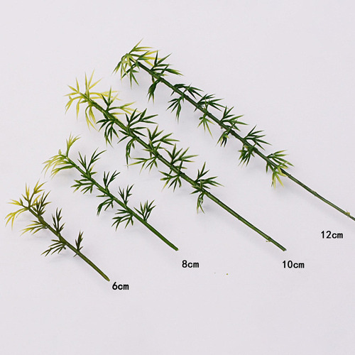 100 Bamboo Arboles, Mini Arboles 12 Cm.