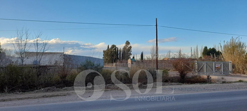 Imagen 30 de 30 de Galpón 1500 M2 En Allen