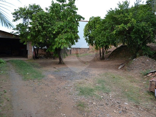 Imagem 9 de 15 de Terreno Residencial À Venda, Castelo, Amparo. - Reo328964