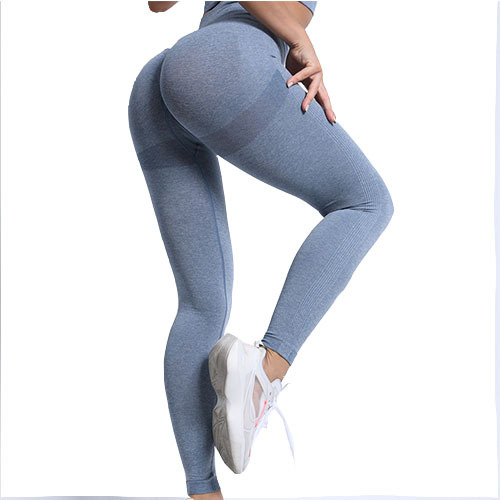 Levantador De Glúteos Sin Costuras Legging Fitness