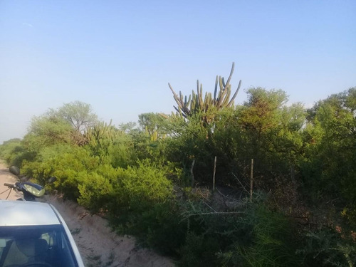Imagen 7 de 11 de Excelente Campo En Venta, 1.800 Hectáreas Ganaderas, Depto Minas, Cordoba.