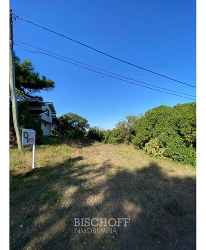 Venta De Lote En Ostende Calle Moreno