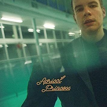 Rex Orange County Apricot Princess Colored Vinyl Orange Lp V