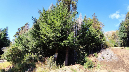 Imagen 2 de 5 de Terreno - Bariloche
