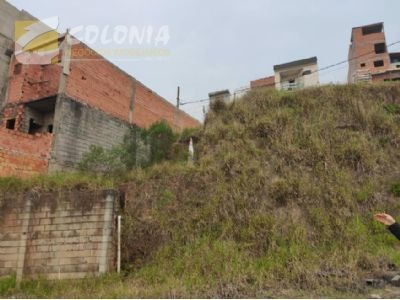 Imagem 3 de 4 de Terreno - Ref: 42364