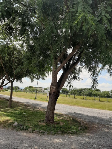 Imagen 2 de 6 de Ojimoro Club De Campo Vendo Lote