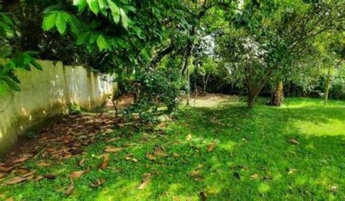 Imagem 10 de 14 de Chácara Rua Calçada Com Frutas Em Itariri | Aceita Financiar