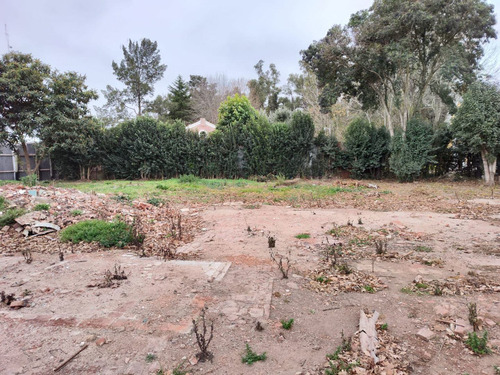 Imagen 13 de 13 de Terreno En Venta En Vicente Casares