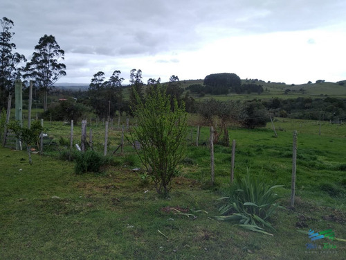 Imagen 15 de 30 de Vendo Excelente Chacra De 39 Hectáreas Para Granja Turística O Tambo, Aigua, Punta Del Este - Aiguá Aiguá