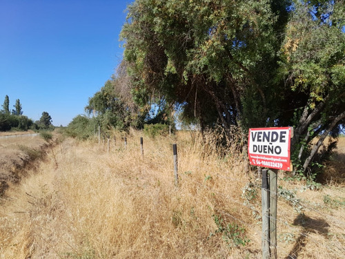 Parcela 5.000m2 Cercado Con Alambre Acceso Camino Principal