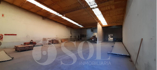 Imagen 13 de 30 de Galpón 1500 M2 En Allen