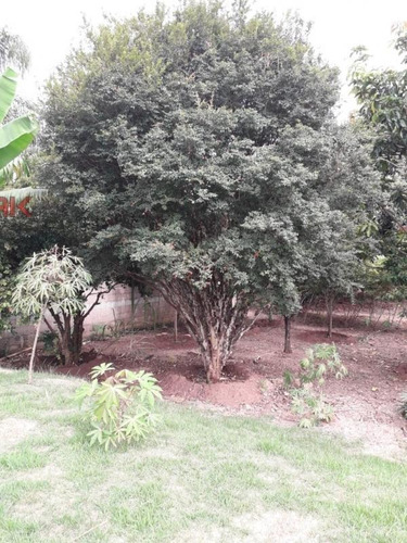 Imagem 6 de 12 de Ref.: 4583 - Chácara Em Jundiaí Para Venda - V4583
